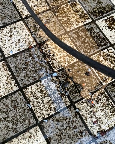 ベランダの床面クリーニング